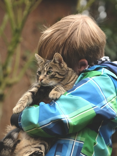 kid hugging cat